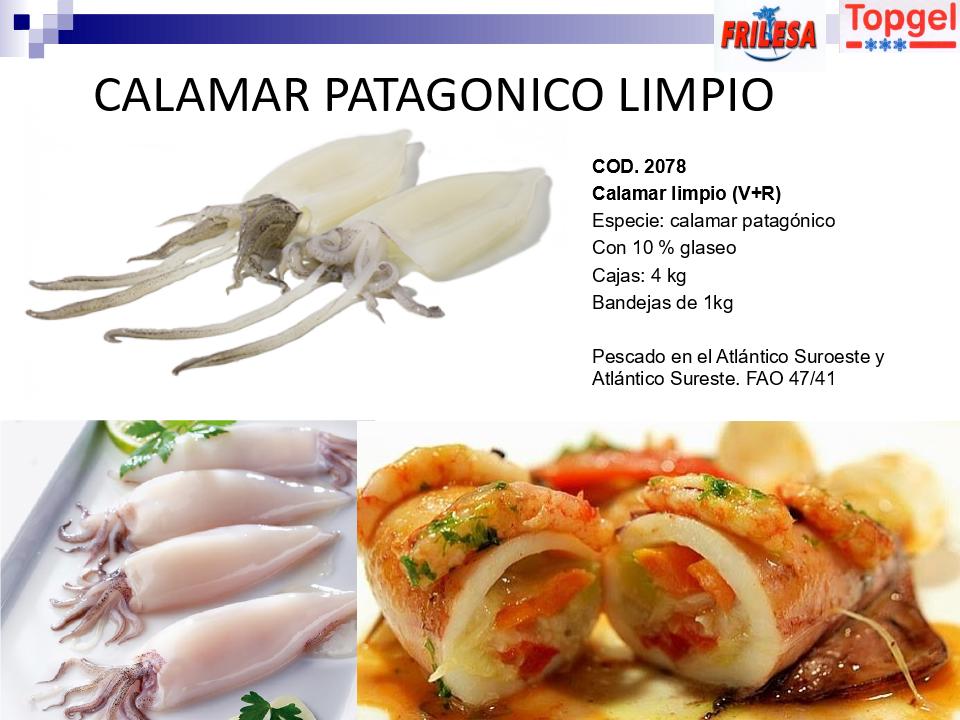 Presentacion-CALAMAR-PATAGONICO-LIMPIO