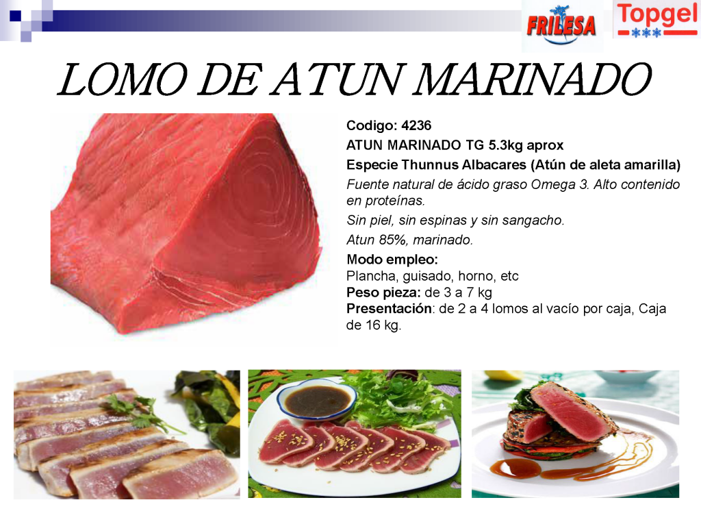 Presentacion-Lomo-de-Atun-Marinado-1024x768